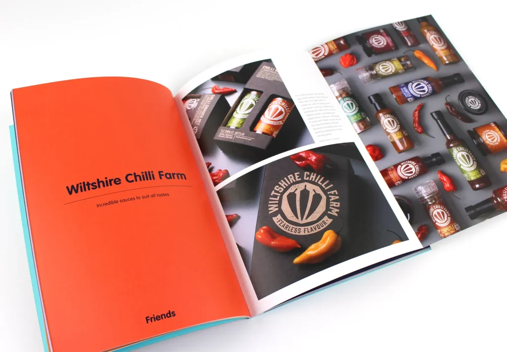 Modern stylish brochure featuring a fold-out page advertising chili sauce.