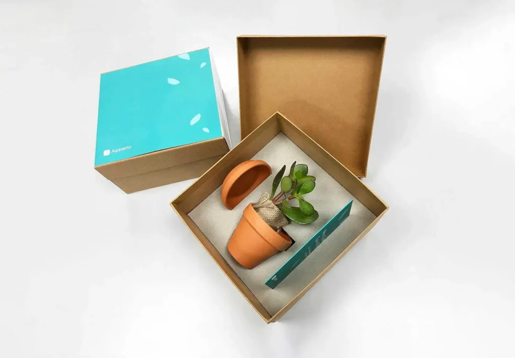 A print fulfilment package filled and sent out to customers, containing a potted plant and marketing collateral.