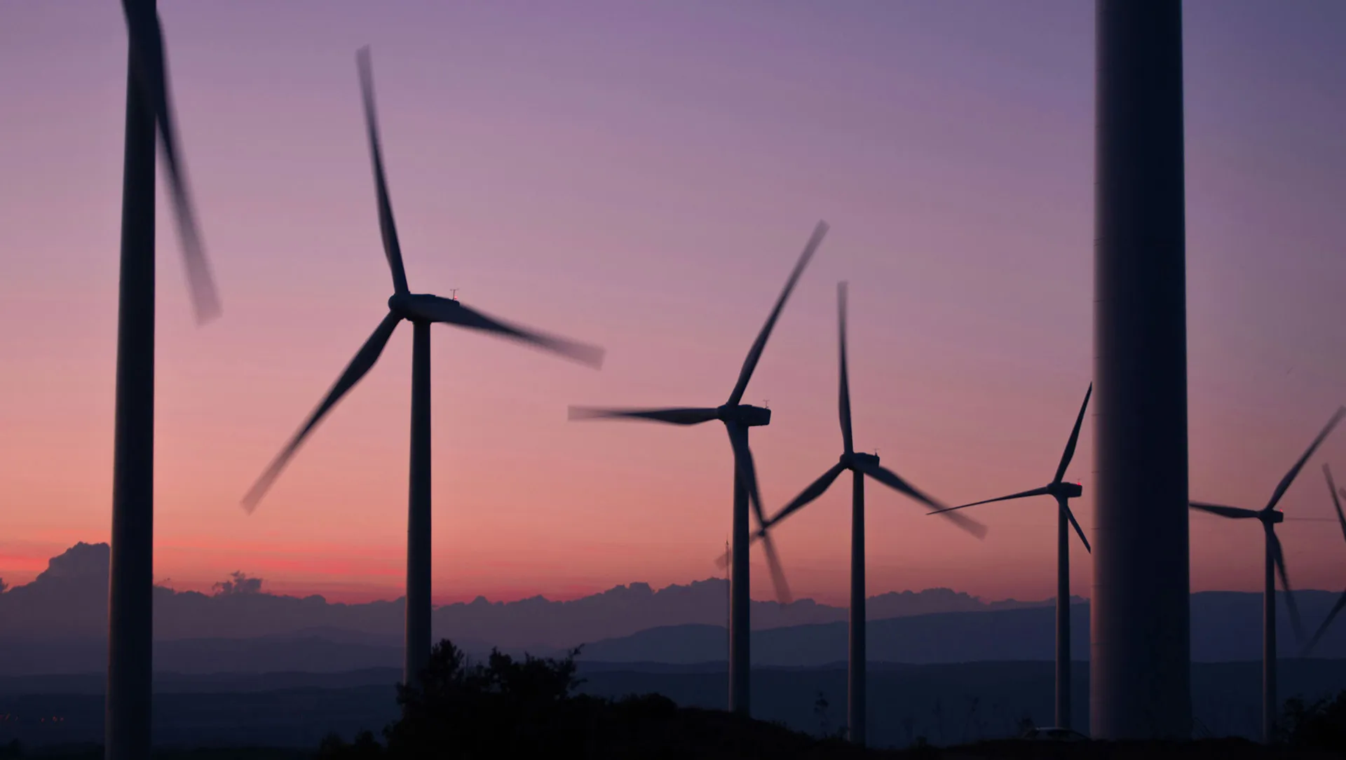 A wind farm during a beautiful sunset producing green energy.