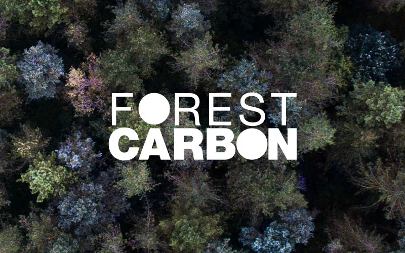 An arial view of a forest with the forest carbon logo over the top.